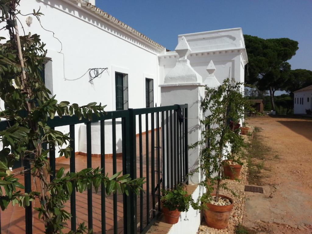 Albergue Rural Territorio Del Gato Ел Ромпидо Екстериор снимка